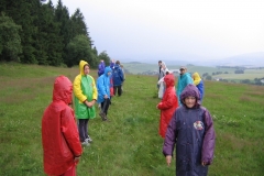img(46)