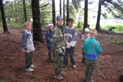 img(50)