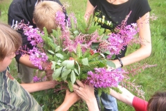img(65)