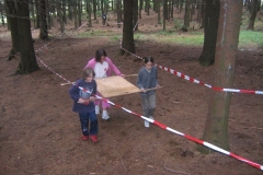 img(71)