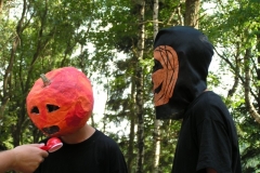 img(54)