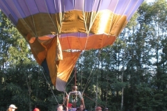 img(19)