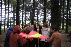 img(35)