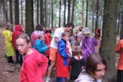 img(37)
