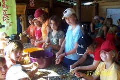 img(48)