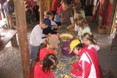img(71)