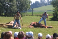 img(77)