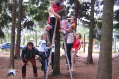 img(8)