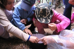 img(82)