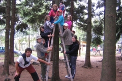 img(9)