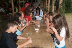 img(1008)