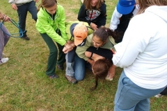img(1065)