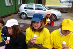 img(1084)