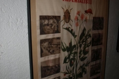img(1109)