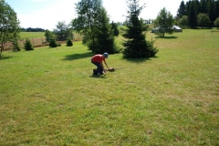 img(118)