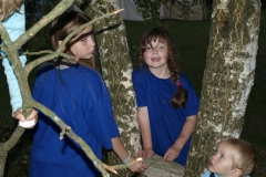 img(1250)