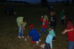 img(1259)