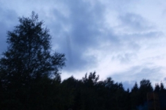 img(1277)