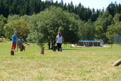 img(131)