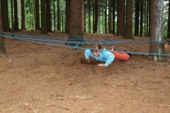img(1333)