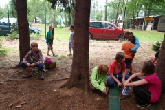 img(1338)
