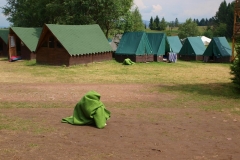 img(1380)