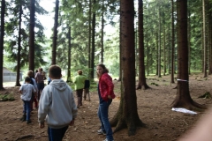 img(1431)