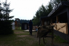 img(1434)