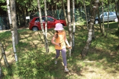 img(144)