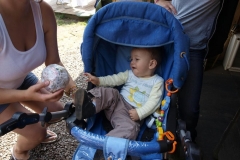 img(1444)