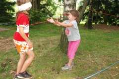 img(1529)