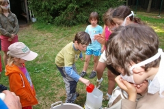 img(1536)