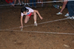 img(1593)
