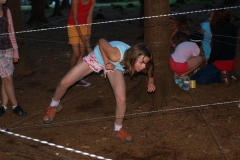 img(1596)