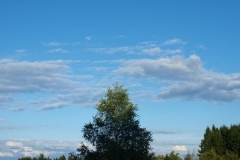 img(1624)