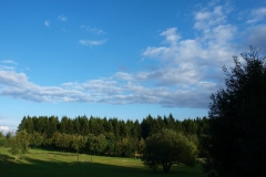 img(1625)