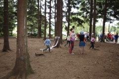 img(170)