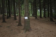 img(176)