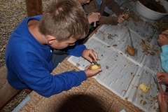 img(215)