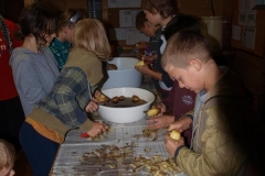 img(219)