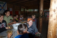 img(223)