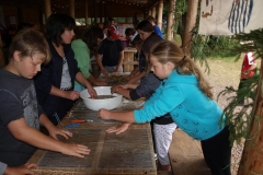 img(225)