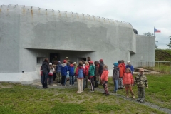 img(226)