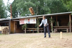 img(232)