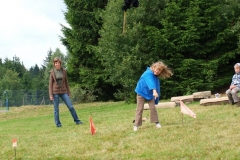 img(245)
