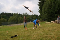 img(246)