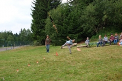 img(248)