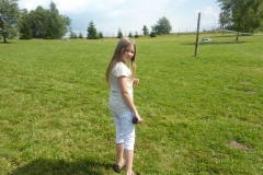 img(253)