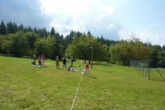 img(254)