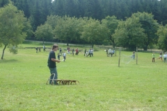 img(297)